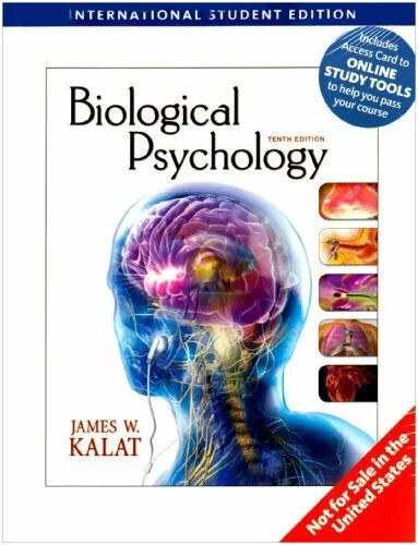 Psychology 10. Психология картинки. Psychology 10. Psychology 10. Психология картинки.