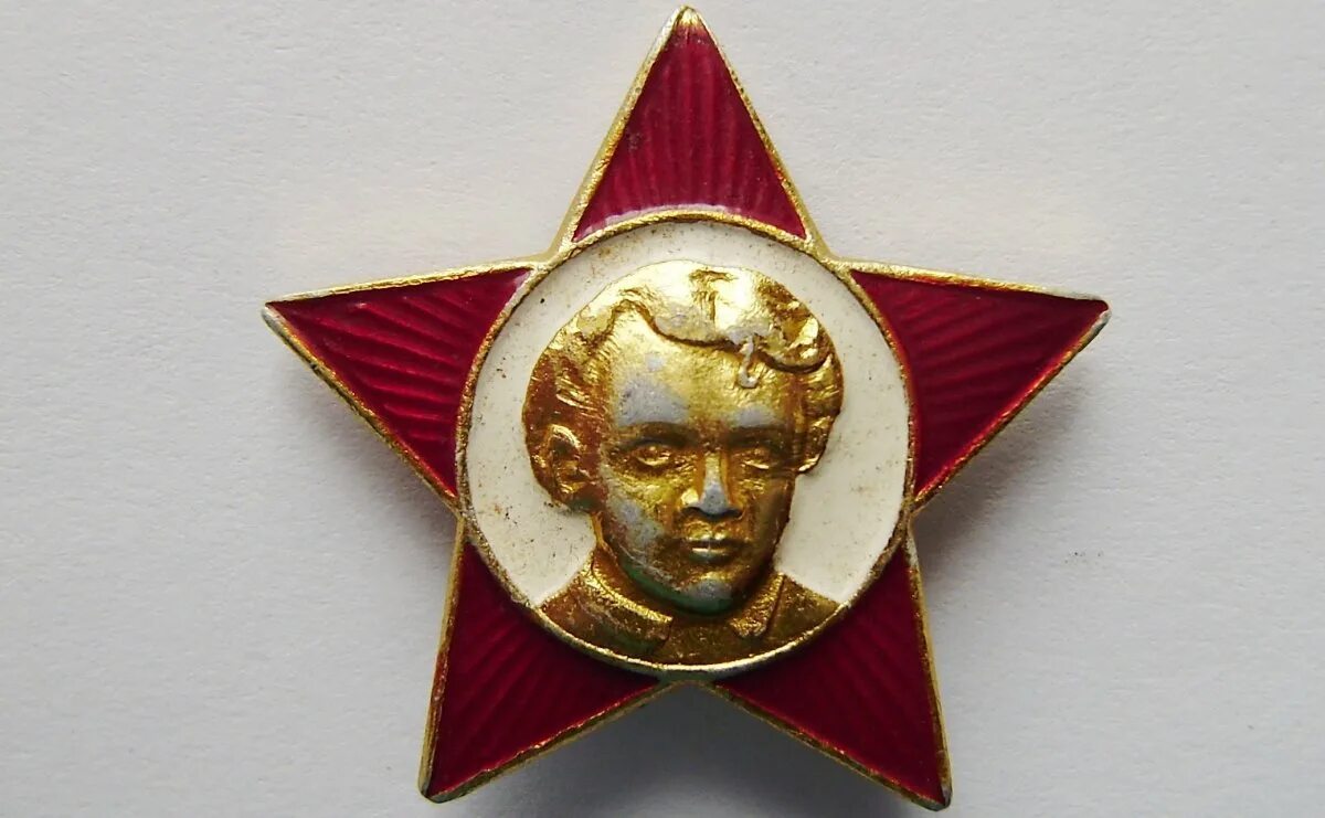 Октябрята пионеры. Жк октябренок. Значок октябрёнка беларуси. Жк премьер палас планировки. Октябрята октябрятский значок.