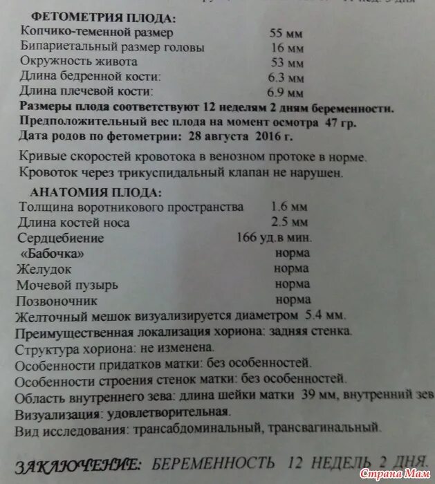 Сердцебиение плода на какой неделе можно услышать. Размеры плода на УЗИ по неделям беременности таблица. Фетометрия на 12 неделе беременности норма. УЗИ 13 недель беременности нормы БПР. УЗИ 22 недели беременности фетометрия.