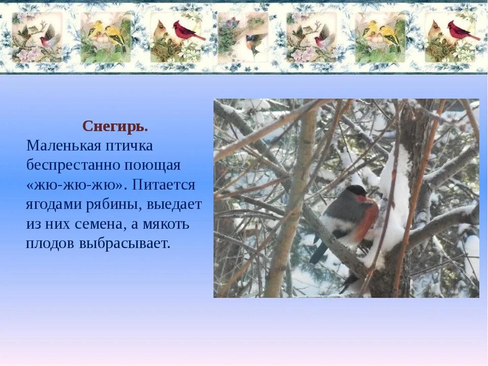 Помощь животным и птицам зимой. Как помочь птицам. Поможем птицам зимой. Помоги птицам зимой. Птицы зимой 2 класс.