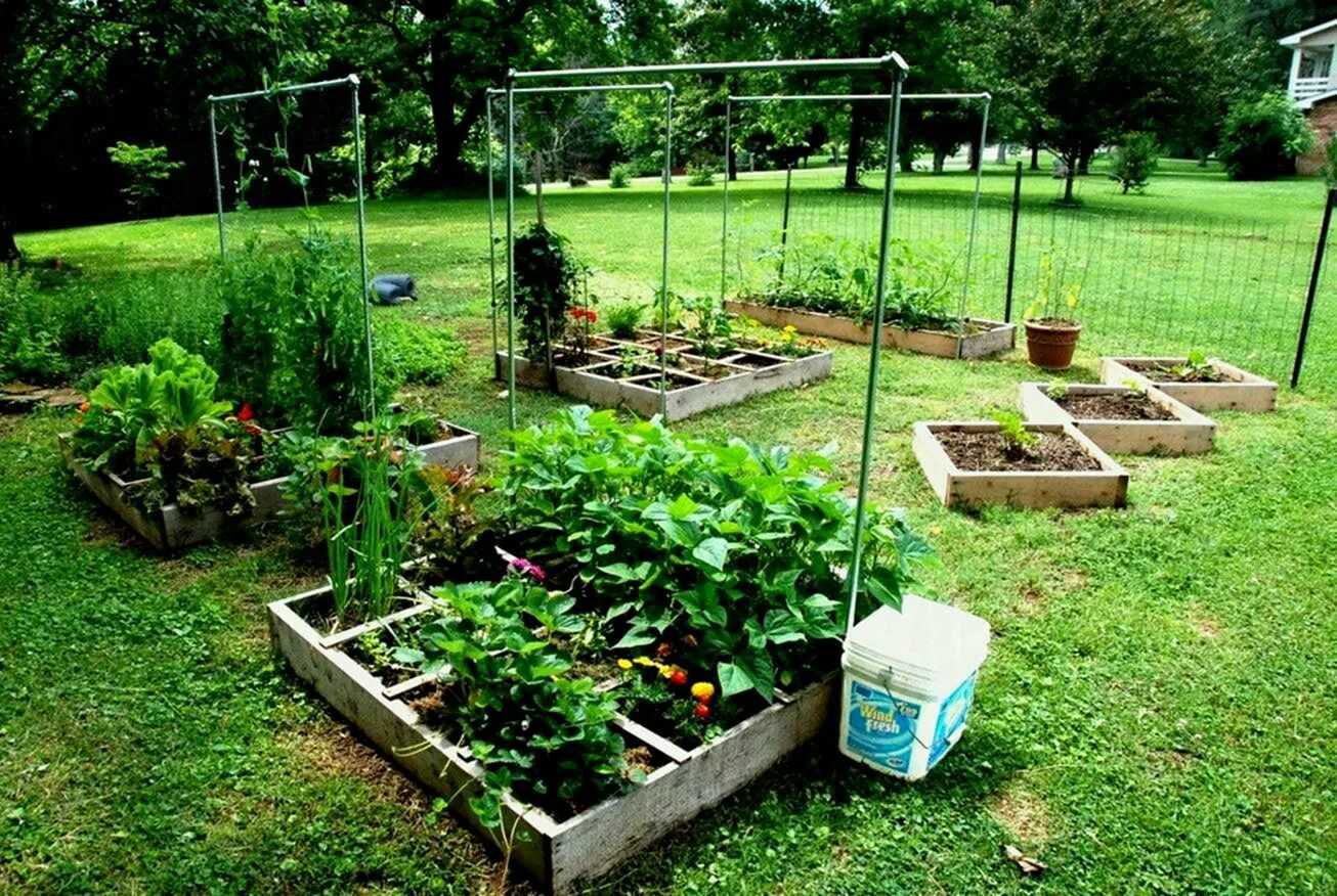 Грядки-клумбы мавританский дворик. Красивый огород. Растения сада и огорода. Деревенские грядки. Огород видео.