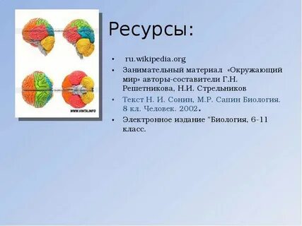 Материал окружающий мир 4 класс