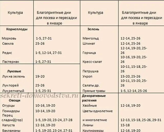 Когда в марте можно посадить перец