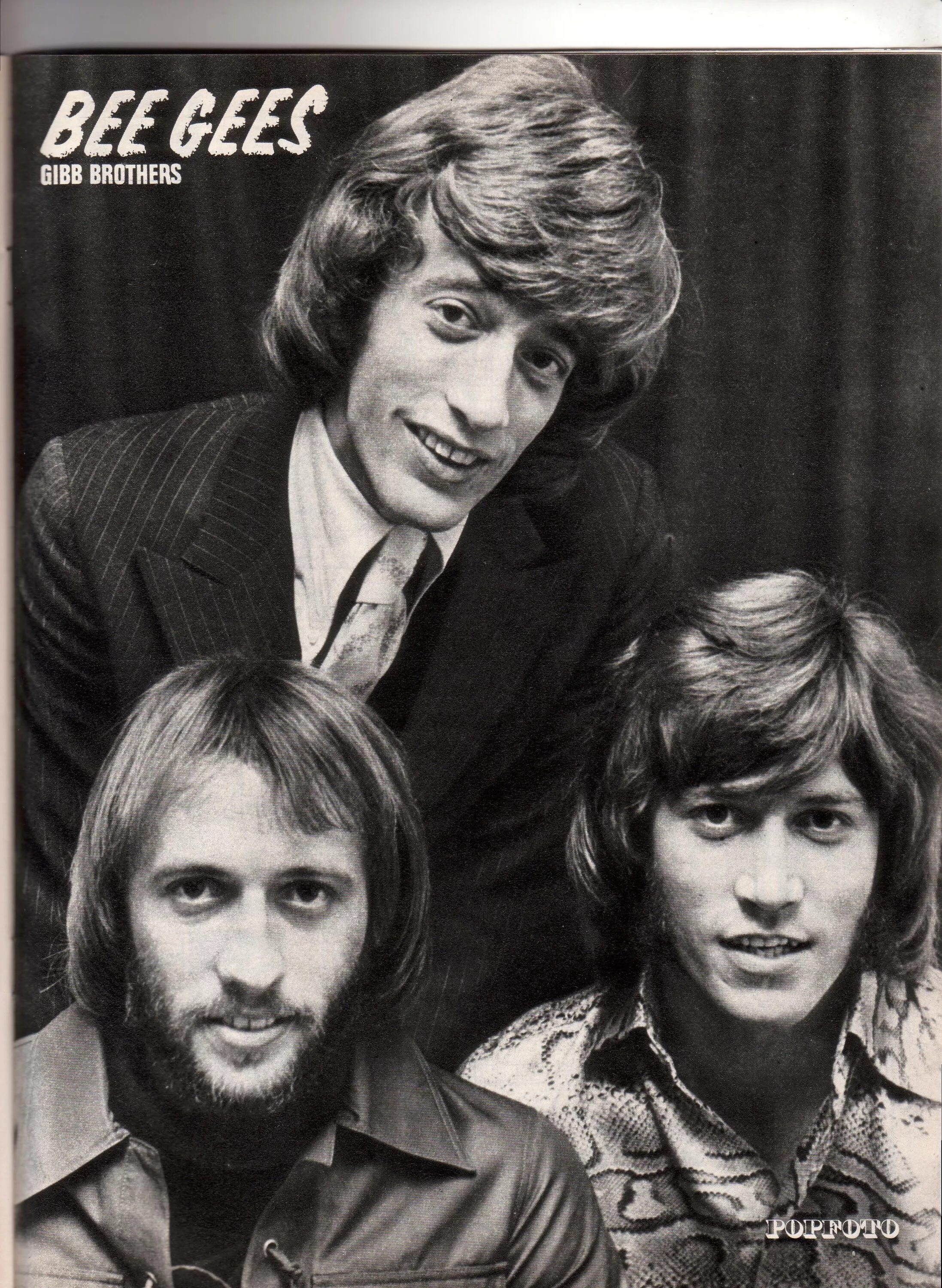 Bee gees. Группа bee gees. Bee gees. Bee gees фото группы. Группа bee gees 2020.