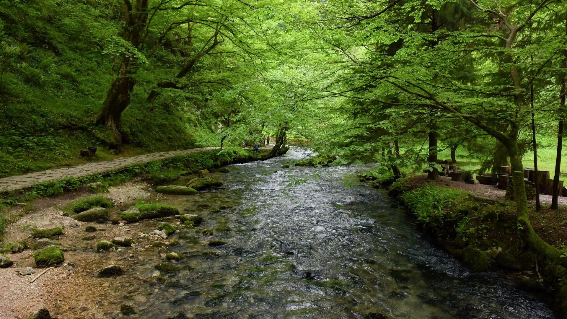 Амжикухуа Абхазия. Монастырское ущелье Абхазия. Климат Абхазии. Река Ряпш Абхазия.
