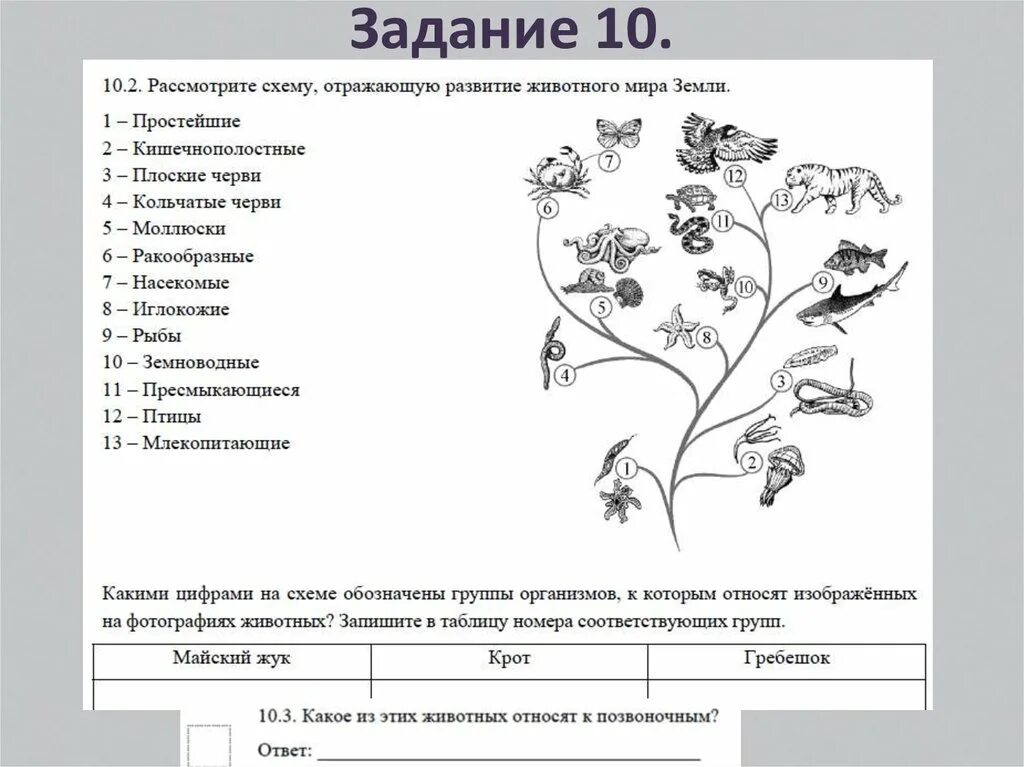 Впр по биологии 5 класс 7 задание