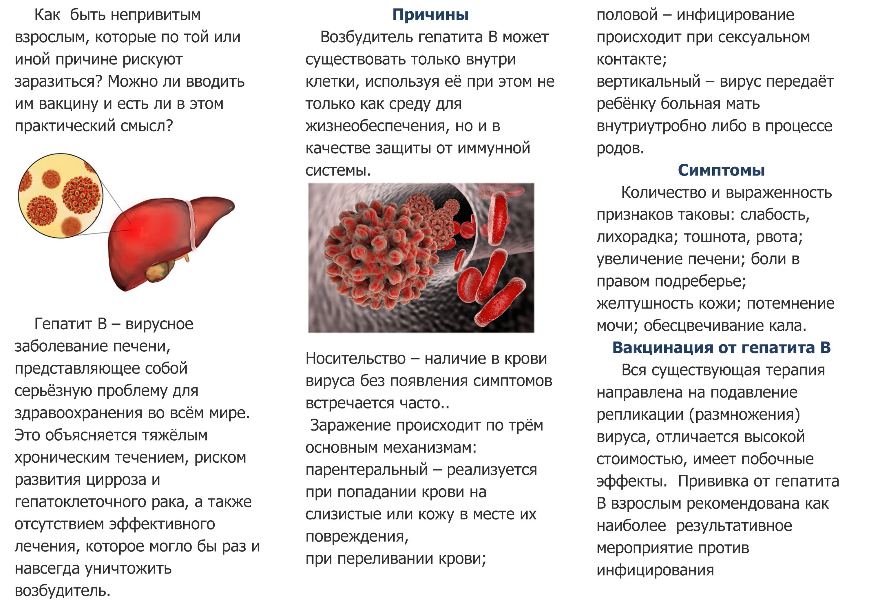 Гепатит в детском саду. Памятка по вирусному гепатиту б. Гепатиты профилактика вирусных гепатитов. Вирусные гепатиты буклет. Профилактика при хроническом вирусном гепатите.