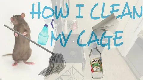 I can clean