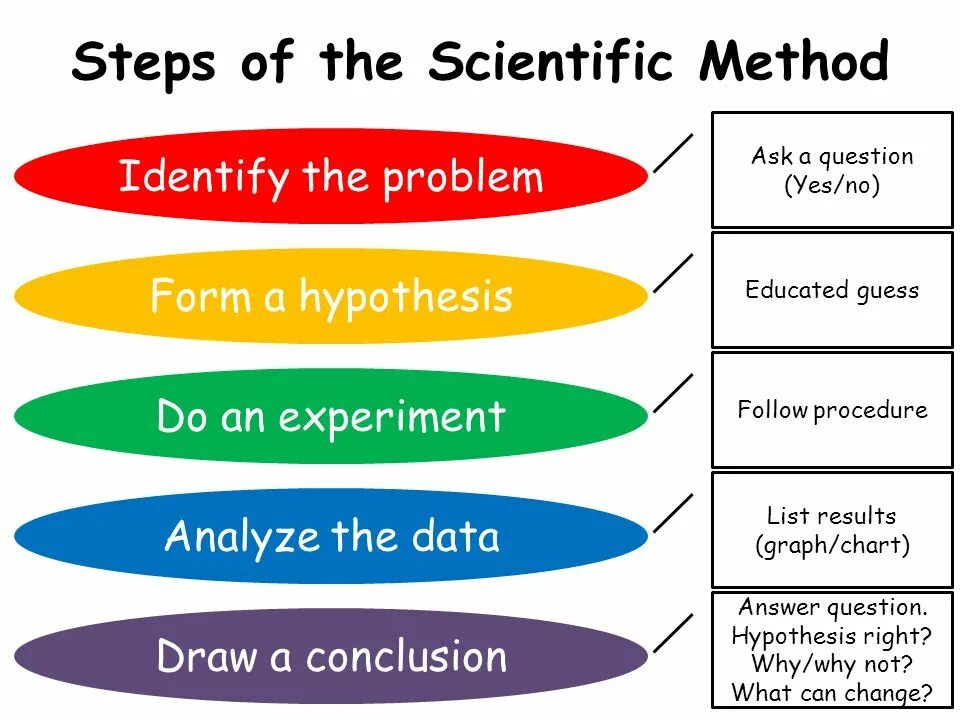 Scientific method. Scientific methods of research. Steps of the Scientific method. Scientific research methodology. The d a method