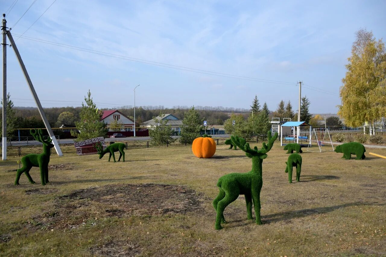 Подслушано белгородская область. Село Гарбузово Алексеевский район Белгородская область. Парк села Гарбузово Белгородская область. Гарбузово Алексеевского района. С Гарбузово Алексеевский район Белгородской области.