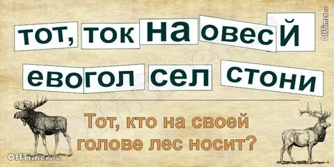 Кто на голове лес носит