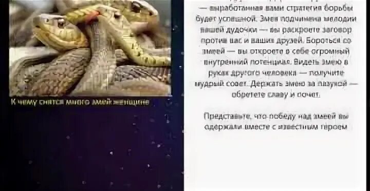Сонник видеть змею во сне