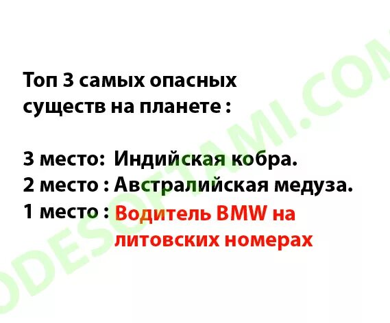 Три самых опасных существ на планете Мем. Бухой Андрюха три самых опасных существ на планете. Вызовы опасных существ.