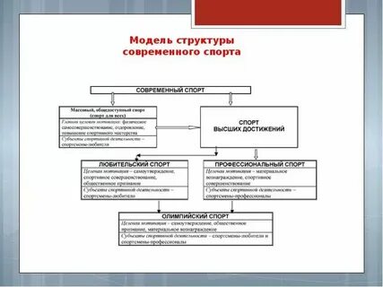 Определение и понятие спорта