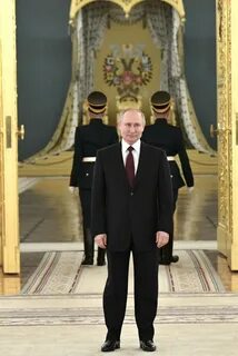Стоя 2022