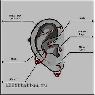 Значение проколов ушей