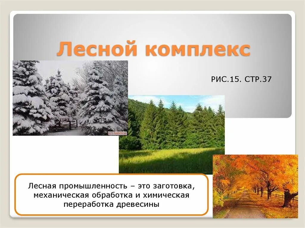 Лесная промышленность география 9 класс тесты. Лесной комплекс презентация 9. лесная промышленность 3 класс. лесные комплексы россии презентация. лесной комплекс 9 класс география.