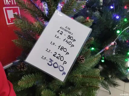Почем ели