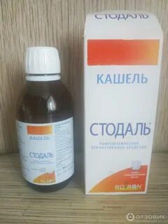 Стодаль 1 триместр