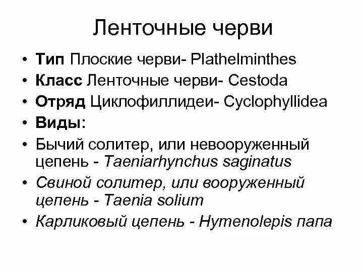 Особенности отряда вши таблица. Отряд латынь. Систематика грызунов схема. Отряд латынь. Классификация птиц биология.
