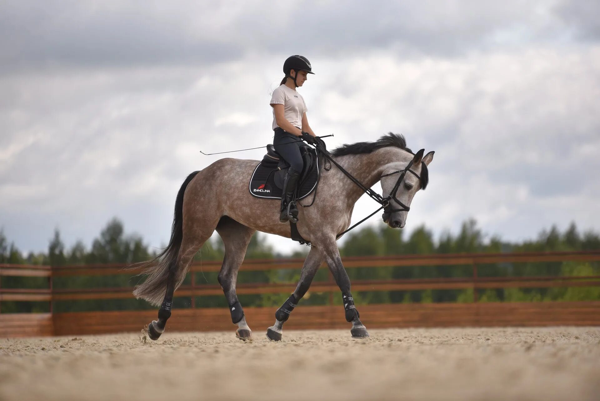 Звенигород кск. Кск аллюр нижний новгород. Хорс хевен. Кск "livadia: horse heaven". Конкур.