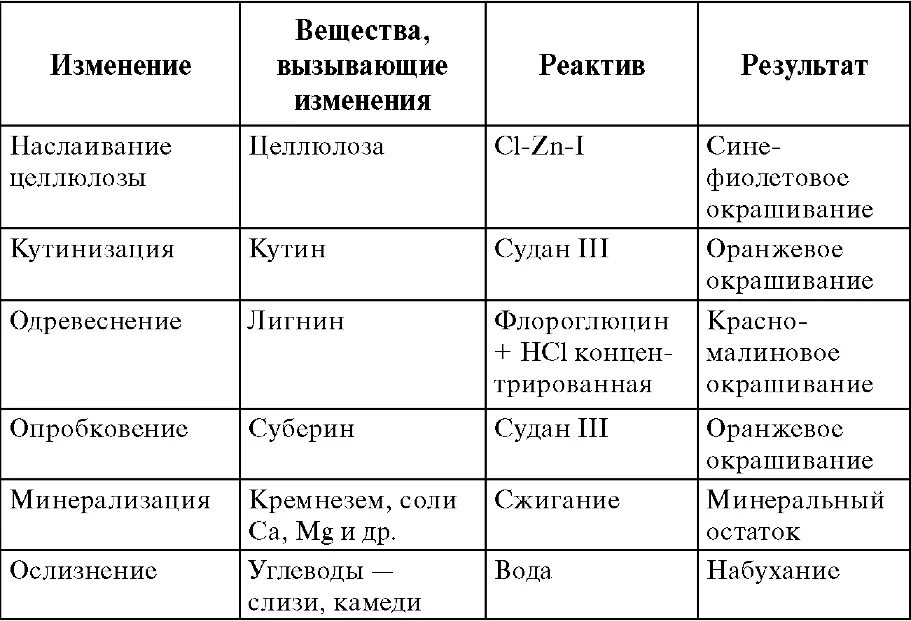 Химические изменения клеток. Одревеснение клеточной стенки. Видоизменения клеточной стенки таблица. Клеточная стенка. Видоизменения клеточной стенки.. Характеристика клеточной оболочки и ее вторичных изменений.