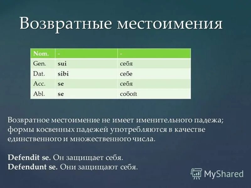 притяжательные местоимения в латинском языке. склонения местоимений в латинском языке таблица. местоимение мы в латинском языке. склонения местоимений в латинском языке таблица. личные местоимения в латинском.