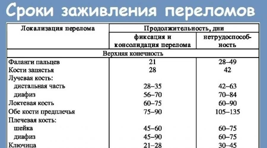 Сколько времени заживает кость. Сроки заживления переломов костей. Таблица сроки реабилитация после перелома. Сроки заживления переломов костей таблица. Препараты для срастания костей при переломах.