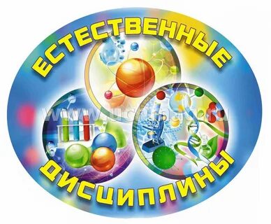 https://avatars.mds.yandex.net/i?id=6a9dcb6675d44746bb2a2b8c28c72b0d3fc05e8f-9284609-images-thumbs&n=13