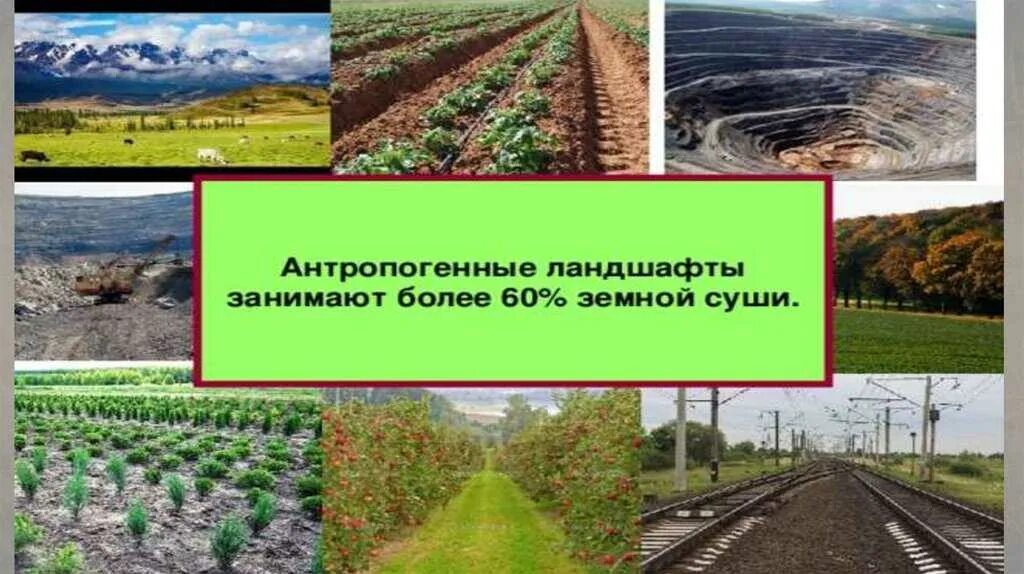 Где наиболее распространены антропогенные ландшафты. Где наиболее распространены антропогенные ландшафты. Антропогенные ландшафты примеры. Антропогенные ландшафты примеры. Природно-антропогенные ландшафты.