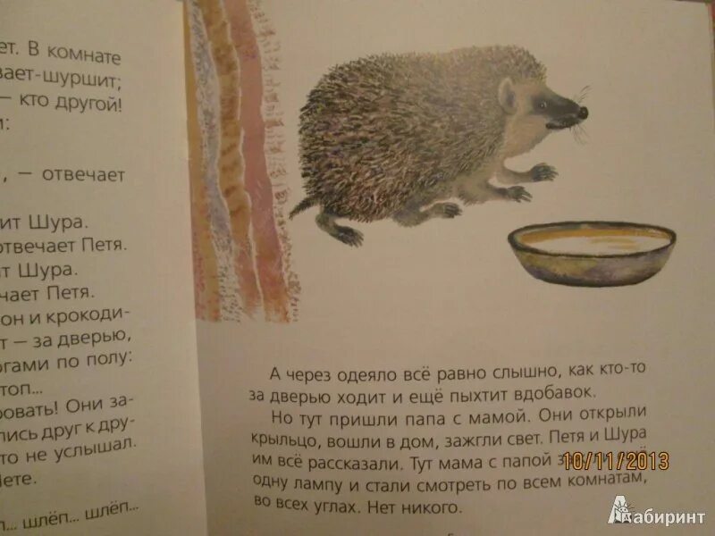 Чарушин страшный рассказ иллюстрации к рассказу. Страшный рассказ краткое содержание. Страшный рассказ краткое содержание. Страшный рассказ краткое содержание. Пришвин страшный рассказ про ежика.