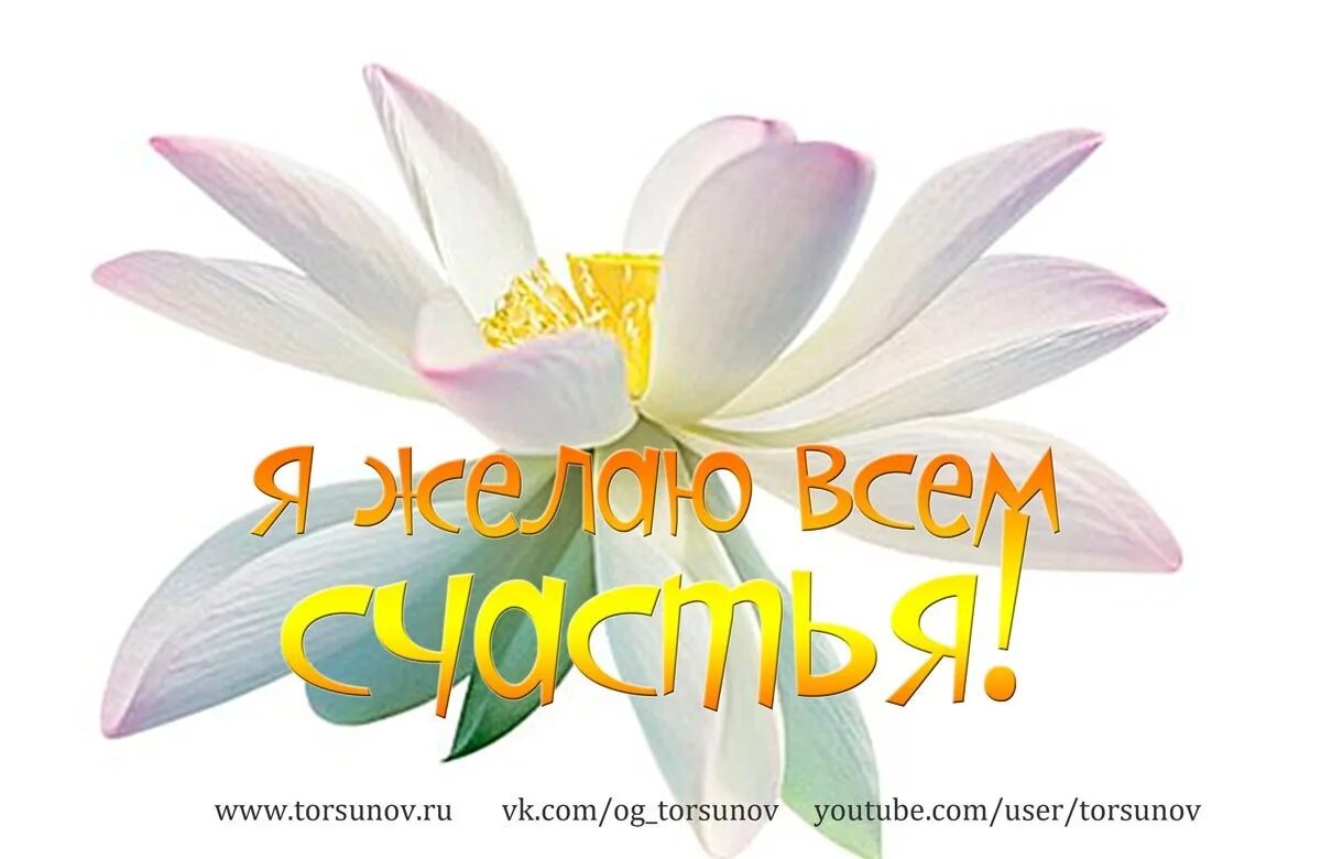 Пожелания счастья. Картинка с надписью желаю счастья. Открытки желаю счастья. Я желаю всем счастья. Надпись желаю счастья на прозрачном фоне.