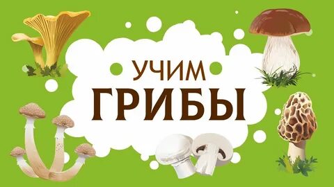 Грибы даю год