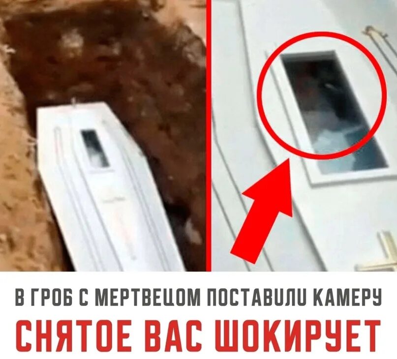 Сколько разлагается цинковый гроб. Сколько разлагается цинковый гроб