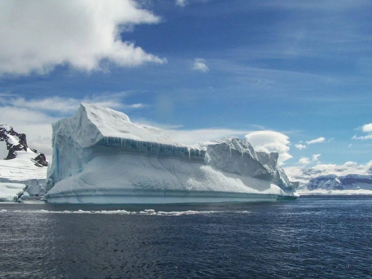 Плазмозавр. Монстры антарктида крионы. Плазмозавр. Плазмозавры антарктиды. Плазмозавр.