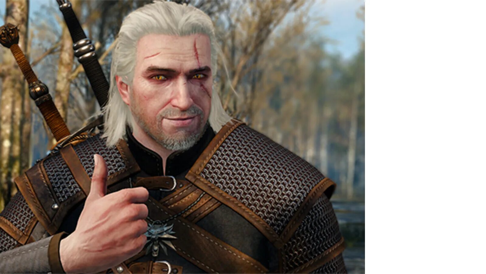 The witcher remake дата выхода. Ведьмак ремейк. ведьмак 3 дикая охота next gen. ведьмак 1 ремейк дата выхода. ведьмак 3 ремейк.