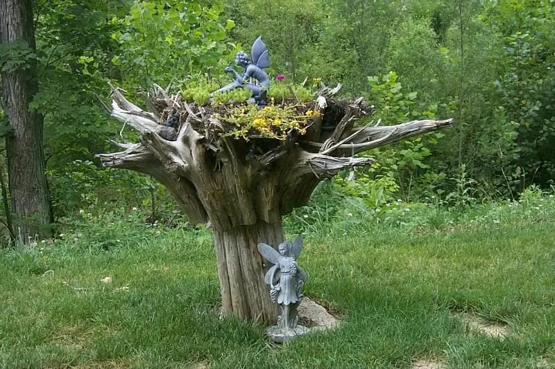 Птица на сухом дереве. Сухое дерево в саду. Декор сухого дерева в саду. Декорация пня на садовом участке. Поделки из пней и коряг.