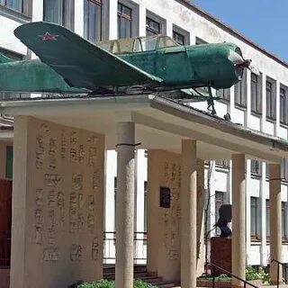 19 г