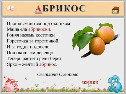 Абрикоса текст