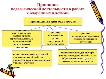 Принципы обучения одаренных