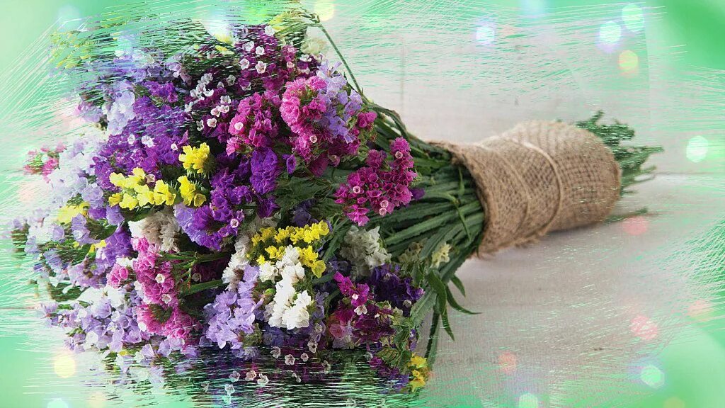Как сушить статицу для зимнего