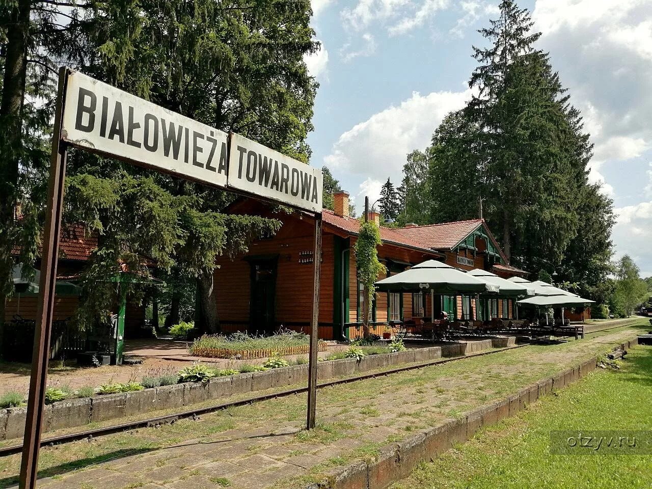 Беловежа. Беловеж городок. Беловеж Польша. В районе деревни Беловежа,.