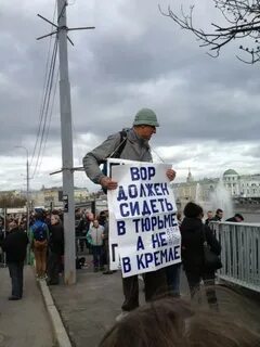 Организация свобода