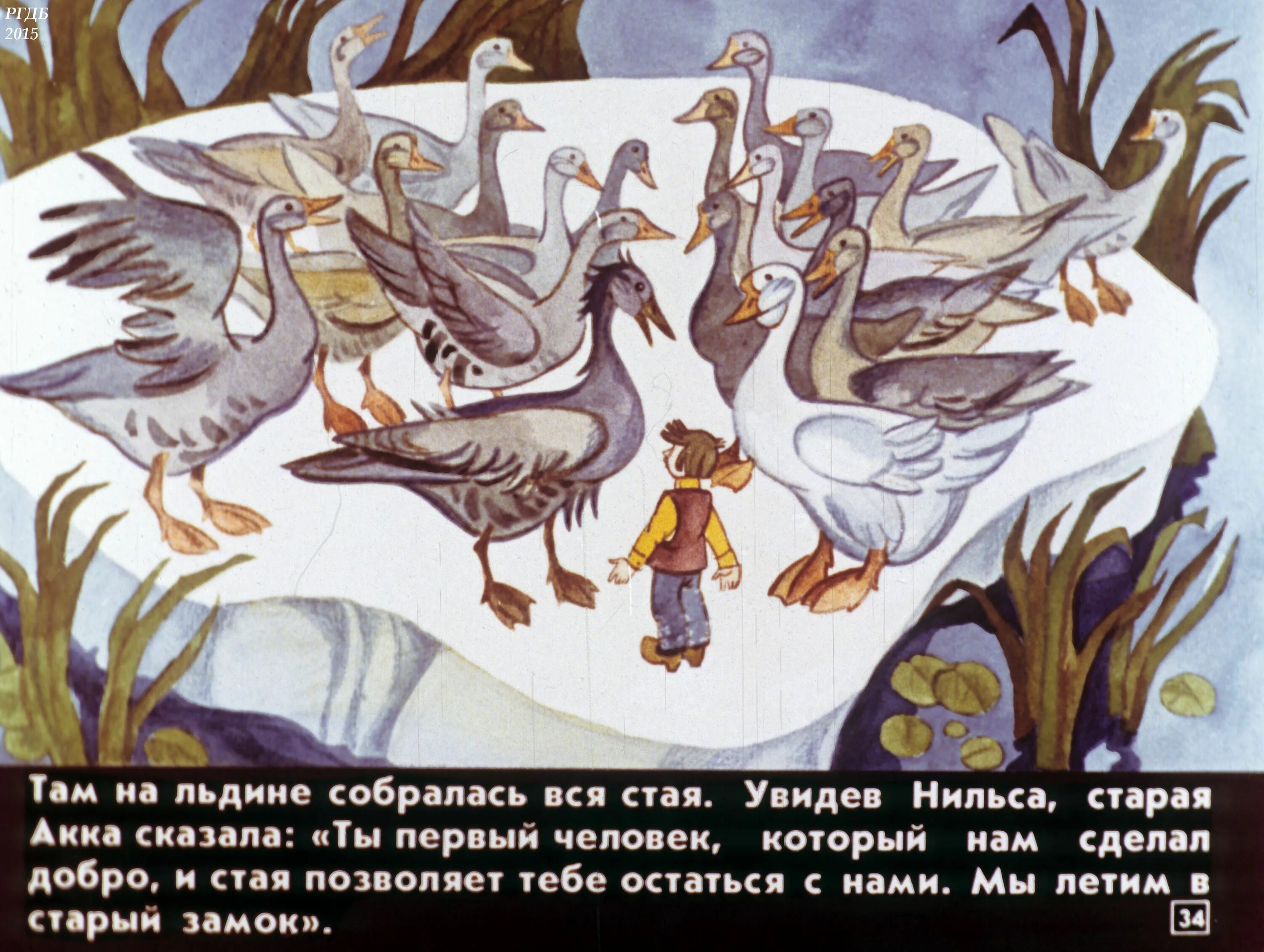 Гуси в лапландии