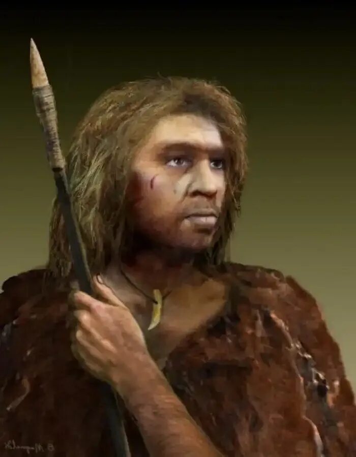 Восстановление физического облика древних людей. Неандерталец (homo Neanderthalensis). Кроманьонец ( homo sapiens). Человек разумный кроманьонец. Хомо сапиенс неандерталец кроманьонец.