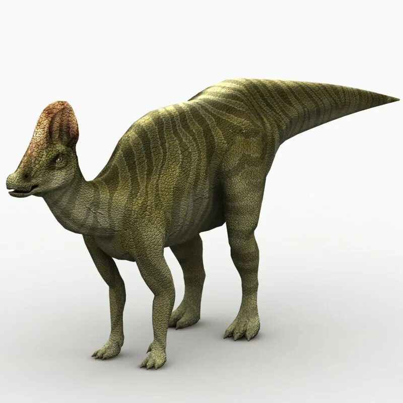 Коритозавр. Коритозавр динозавр. джаксартозавр. jurassic world evolution зауролоф. зауролоф динозавр.