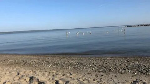 Море бумеранг