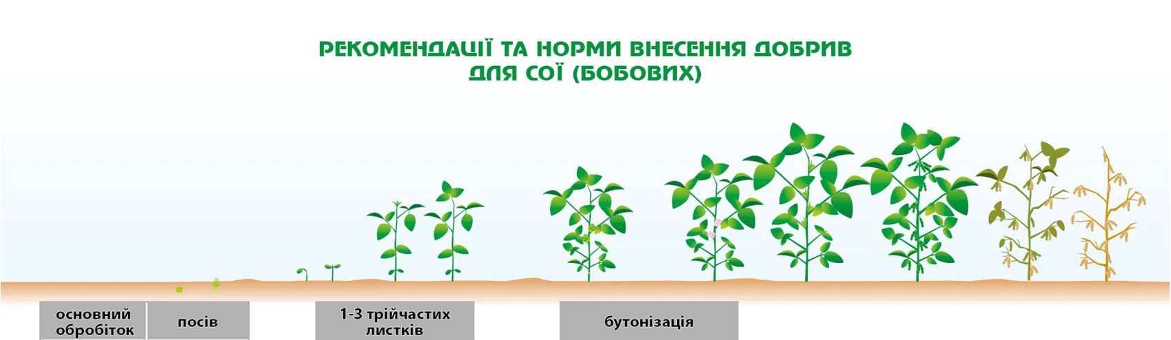 Соя подкормки
