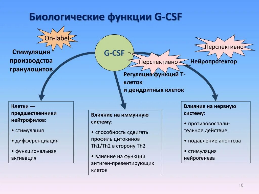 Стимулирование производителя. Регуляционная терапия. Стимулирование нейрогенеза. Inscription стимуляция. Стимуляция inscription маг.