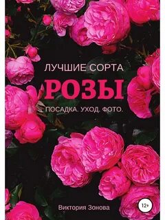Розы читать
